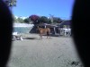 Horse For Sale: Babycake- Photo 1