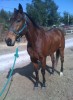 Chance- Photo 2