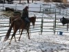 Iceys Royal Snow- Photo 2