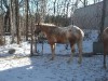 woody- Photo 3