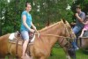 Horse For Sale: Cookie- Photo 1