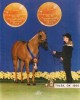 Horse For Sale: Melody Sunburst- Photo 1
