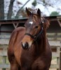 EXCENTRICITY- Photo 2