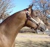 MR FEATURE FELLA- Photo 2