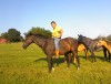 BREEZYS REBEL BOY- Photo 2