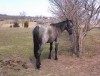 CATBALOU FLITWOOD- Photo 2