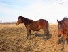 DANILY SPRING CREEK- Photo 2