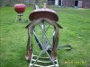 Bona Allen- Photo 2