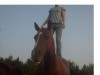 Horse training avalible!!- Photo 2