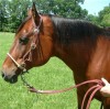 Miss Rodeo San- Photo 2