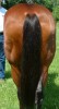 Miss Rodeo San- Photo 3